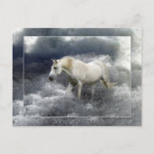 Fantasy White Horst & Ocean Surf Geschenke Postkarte (Vorderseite)