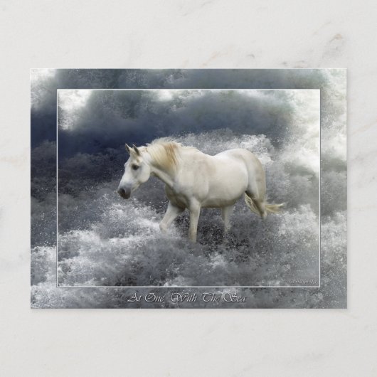 Fantasy White Horst & Ocean Surf Geschenke Postkarte (Vorderseite)