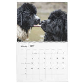 Far-Flung Dog Tongue Kalender (Feb 2027)