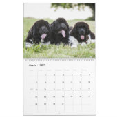 Far-Flung Dog Tongue Kalender (Mär 2027)