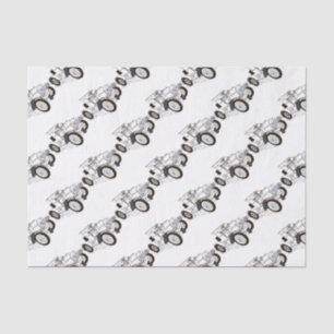 Farbabbildungen Seidenpapier