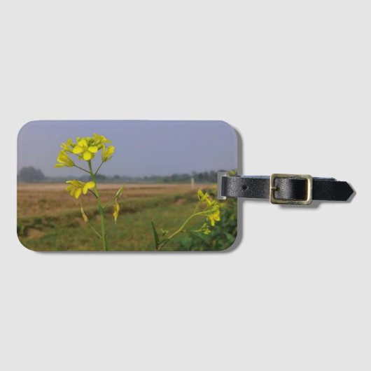 Farbamerikanischer Gepäckanhänger (Vorderseite (Horizontal))