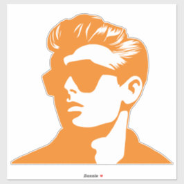 Farbaufkleber für Coolen Typ Aufkleber