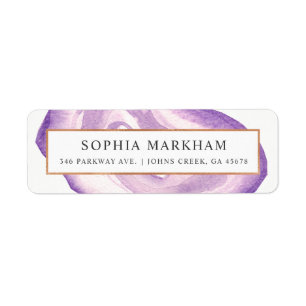 Farbaufnahme  Lavendel 