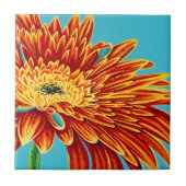 Farbaufschläge I Fliese (Vorderseite)