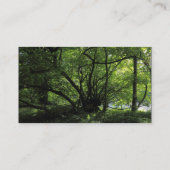 Farbband - Schwarz - Bäume an einem Fluss Visitenkarte (Rückseite)