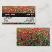 Farbband - Schwarz - Bett von Roten Tulips 01 Visitenkarte (Vorne/Hinten)