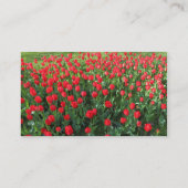 Farbband - Schwarz - Bett von Roten Tulips 01 Visitenkarte (Rückseite)