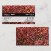 Farbband - Schwarz - Blätter im Herbst Visitenkarte (Vorne/Hinten)