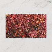 Farbband - Schwarz - Blätter im Herbst Visitenkarte (Rückseite)