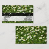 Farbband - Schwarz - Daisy Meadow Visitenkarte (Vorne/Hinten)