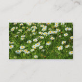 Farbband - Schwarz - Daisy Meadow Visitenkarte (Rückseite)