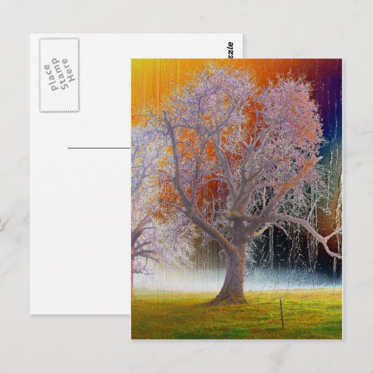 Farbbaum Postkarte (Vorne/Hinten)