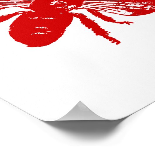 Farbbezug Poster (Ecke)