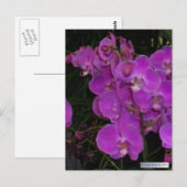 FARBBIGE FLORA #3 Postkarten (Vorne/Hinten)