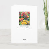 FARBBIGER CELOSIA GARTEN/ GUT/KUNSTBAR KARTE (Rückseite)