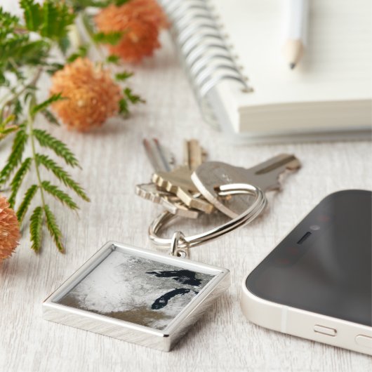 Farbbild des Schnees Schlüsselanhänger (Seite)