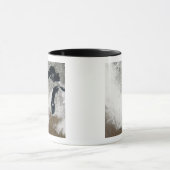 Farbbild des Schnees Tasse (Zentrum)