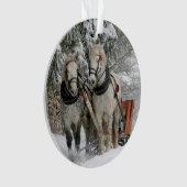 Farbbild des WinterSchlittenfahrens Ornament (Vorderseite)