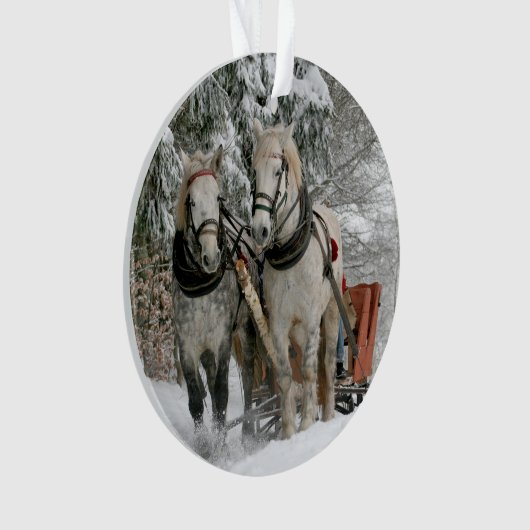 Farbbild des WinterSchlittenfahrens Ornament (Vorderseite)