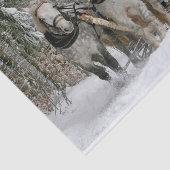 Farbbild des WinterSchlittenfahrens Seidenpapier (Ausschnitt)