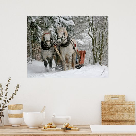 Farbbild für den Winter Schlittenfahrt Poster (Küche)