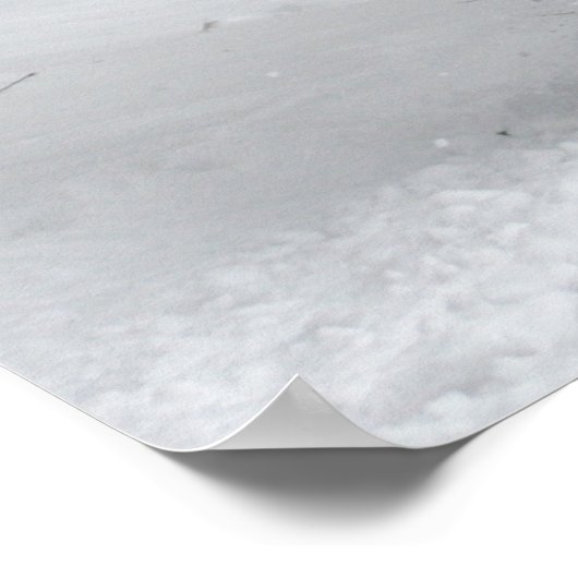 Farbbild für den Winter Schlittenfahrt Poster (Ecke)