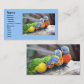 FARBBIRTE VISITENKARTE (Vorne/Hinten)