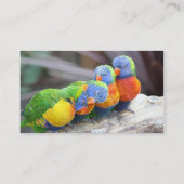 FARBBIRTE VISITENKARTE (Rückseite)