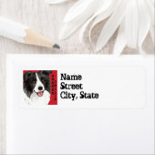 Farbblock Border Collie (Insitu)