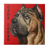 Farbblock Cane Corso Fliese (Vorderseite)