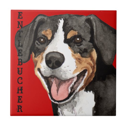 Farbblock Entlebucher Fliese (Vorderseite)