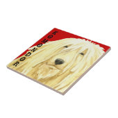 Farbblock Komondor Fliese (Seite)