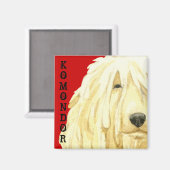 Farbblock Komondor Magnet (Vorderseite/Rückseite)