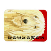 Farbblock Komondor Magnet (Horizontal)