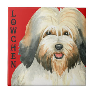 Farbblock Lowchen Fliese