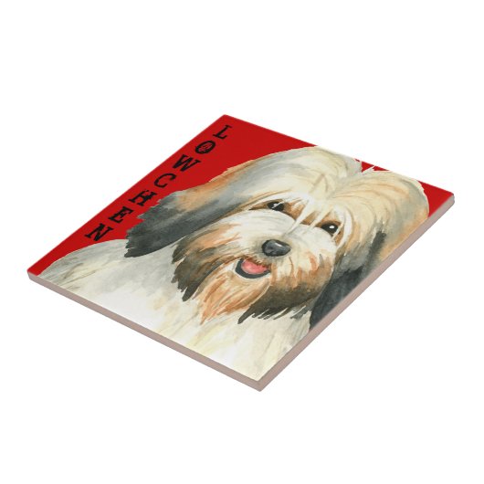 Farbblock Lowchen Fliese (Seite)