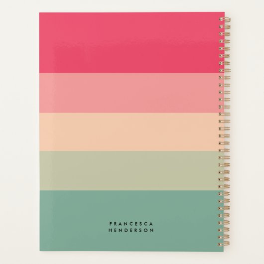 Farbblockhorizontaler Streifen Rosa und grüne Mono Planer (Rückseite)