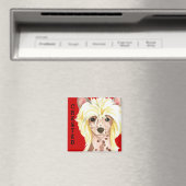 Farbblockmagazin mit chinesischer Schöpfung Magnet (In Situ (Geschirrspüler))