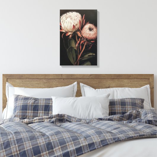 Farbdekor der Blume Protea Leinwanddruck (Insitu (Schlafzimmer))