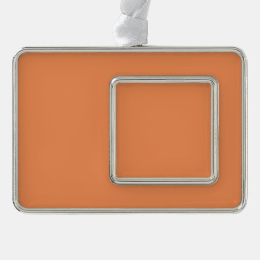 Farbdekor in Korallenrosa, fertig Rahmen-Ornament Silber (Vorderseite)