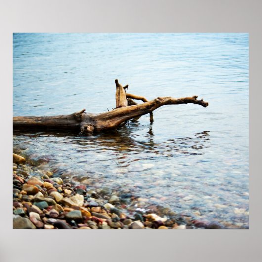 Farbdruck Poster (Vorne)