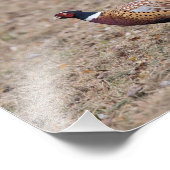 Farbdrucke für Foto (Ecke)