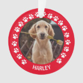 Farbdrucke Rot-Rahmen-Foto für Haustiere Ornament (Vorderseite)
