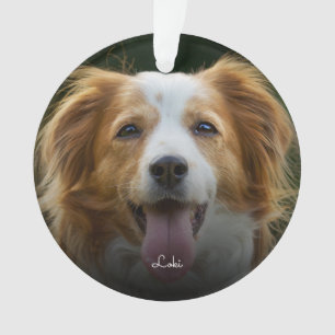 Farbdrucke und Herz-Rahmen-Foto für Haustiere nach Ornament