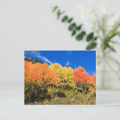 Farbe am Berg Postkarte (Stehend Vorderseite)