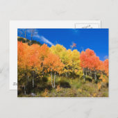 Farbe am Berg Postkarte (Vorne/Hinten)