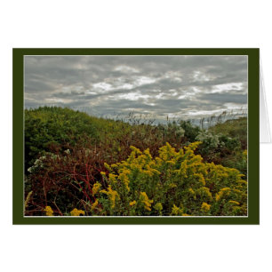 Farbe an den Dünen