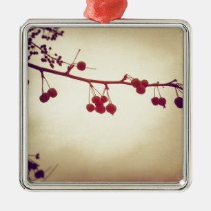 Farbe an einem schrecklichen Wintertag Silbernes Ornament