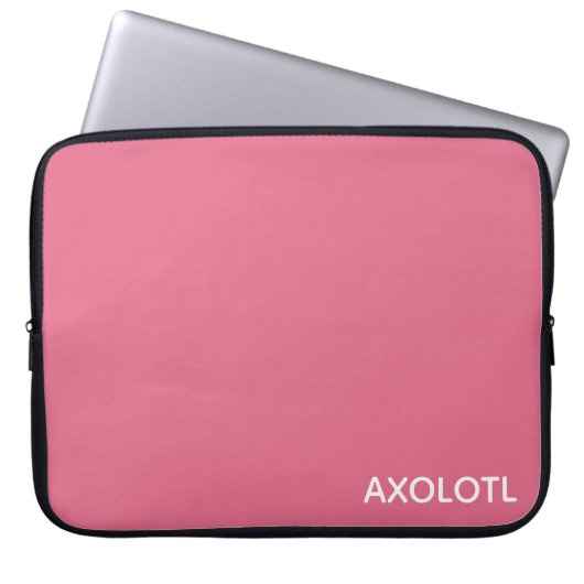 Farbe Axolotl pink Laptopschutzhülle (Vorderseite)